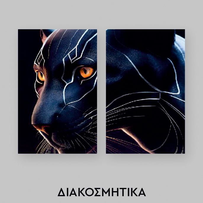 Εκδηλώσεις - Διακοσμητικά Χώρου