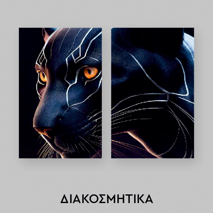 Καταστήματα - Διακοσμητικά